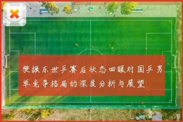 樊振东世乒赛后状态回暖对国乒男单竞争格局的深度分析与展望