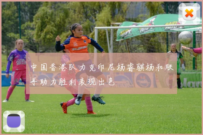 中国香港队力克印尼杨睿骐杨和联手助力胜利表现出色