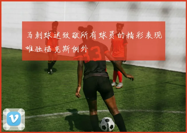 马刺球迷致敬所有球员的精彩表现唯独福克斯例外